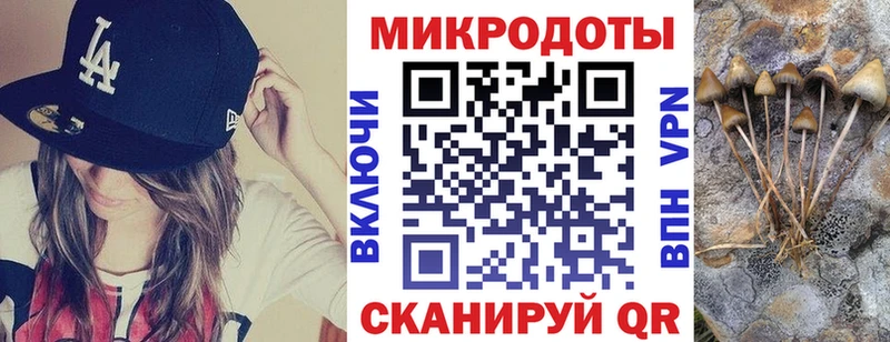 Галлюциногенные грибы Magic Shrooms  Купить  Невельск 